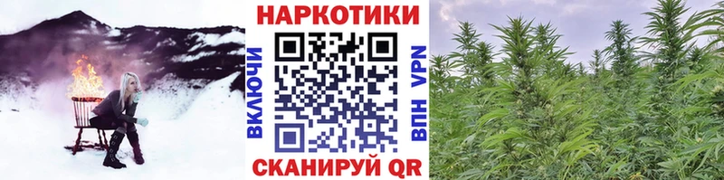 Купить закладку МАРИХУАНА  Кокаин  ГАШ  Codein  Мефедрон  Новотроицк