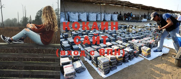 сатива Лиски