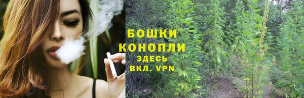 сатива Лиски